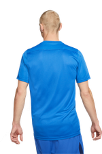 Футболка Nike Dry Park VII SS