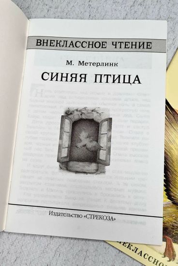 Набор из книг по внеклассному чтению, 3 шт.