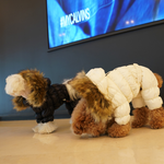 442 PA-OW Комбинезон зимний, унисекс