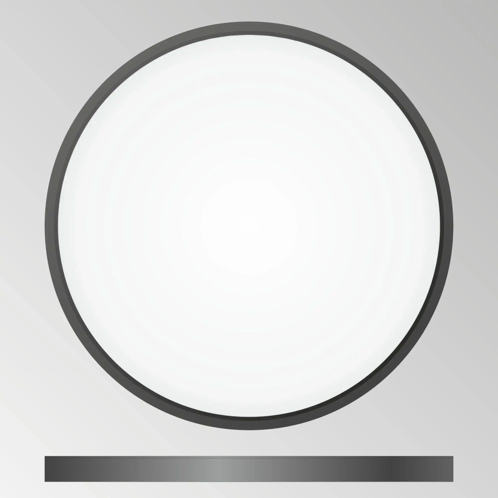 Citilux Бейсик CL738321V Светильник накладной Чёрный