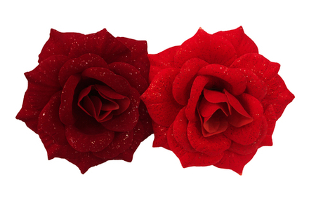 Роза бархат с блеском