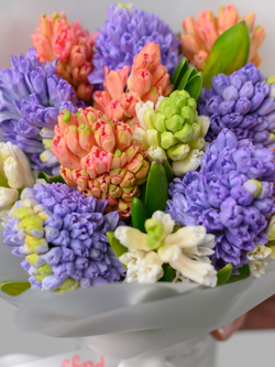 Монобукет из Гиацинтов