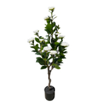 Камелия 120 см.