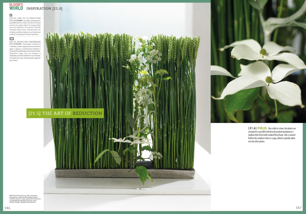 BLOOM's World № 09