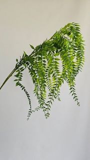 Зеленый/коричневый/тёмный