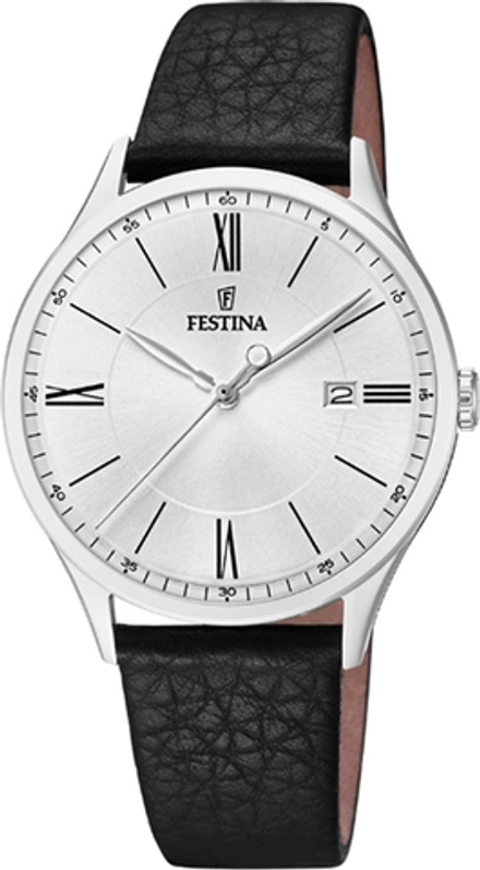 Мужские наручные часы Festina F16978/1