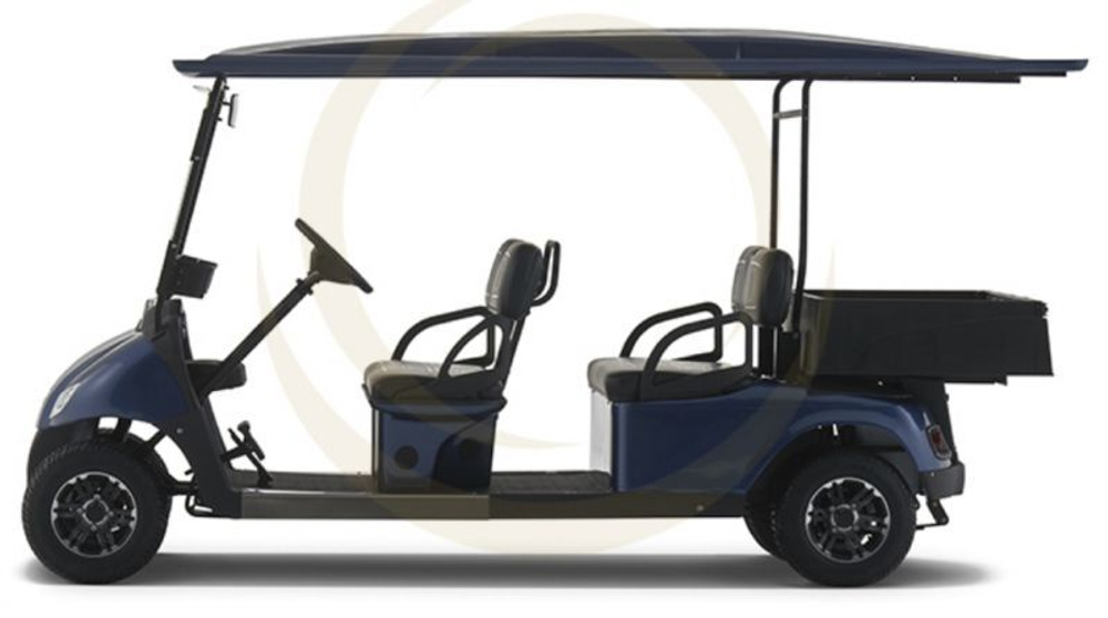 Гольфкар EWAY HM4-1