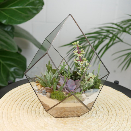 Готовый флорариум с суккулентами Грация S
