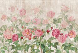 Коллекция Цветы