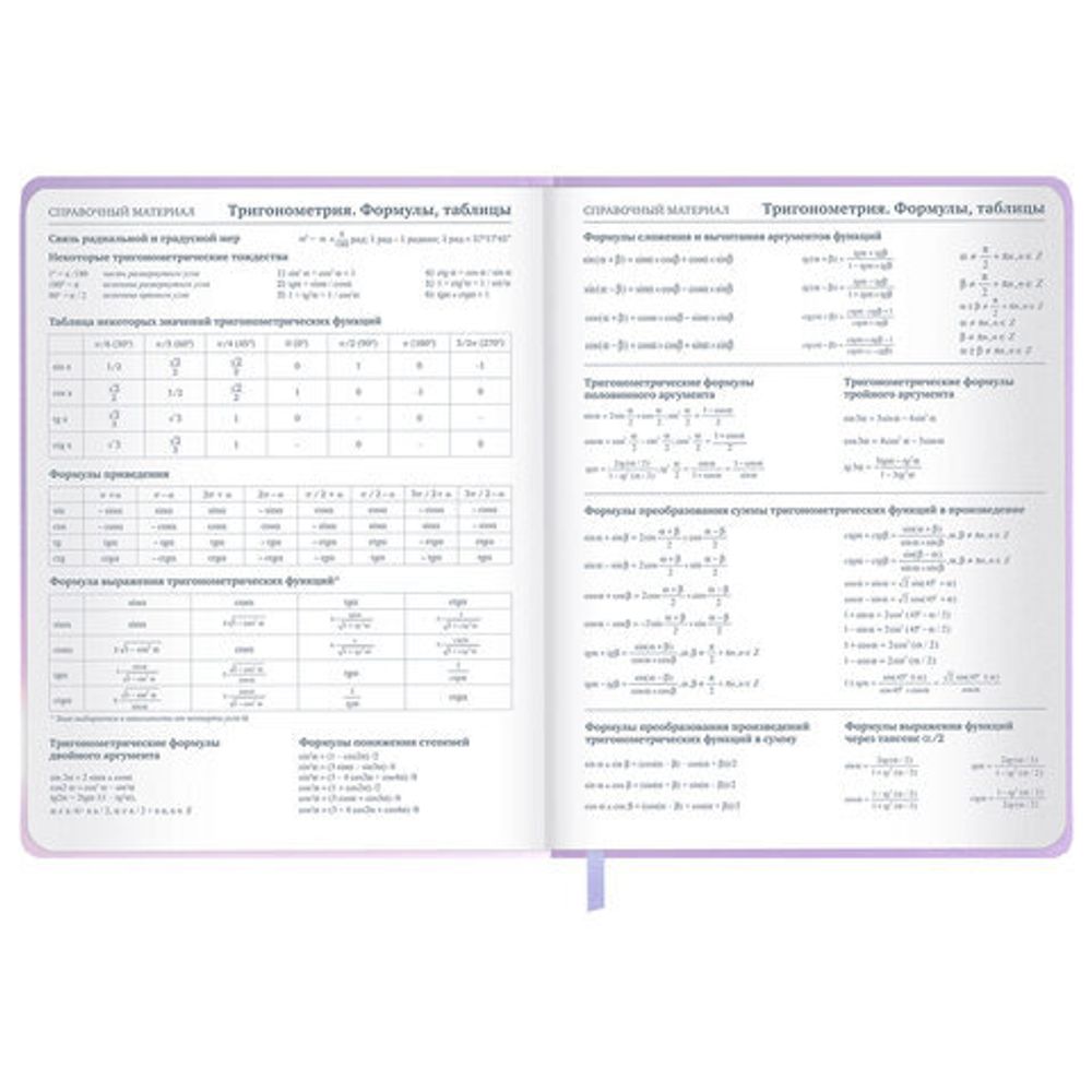 Дневник 1-11 класс 48 л., обложка кожзам (твердая с поролон), 3D-элемент, BRAUBERG, "Суровый кот", 107221
