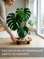 Подставка для цветов, 30х30х7, Флорэль, круглая на колесиках, этажерка, напольное, на подоконник, полка, из массива дерева, рустик
