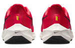 Кроссовки Nike Air Zoom Pegasus 39