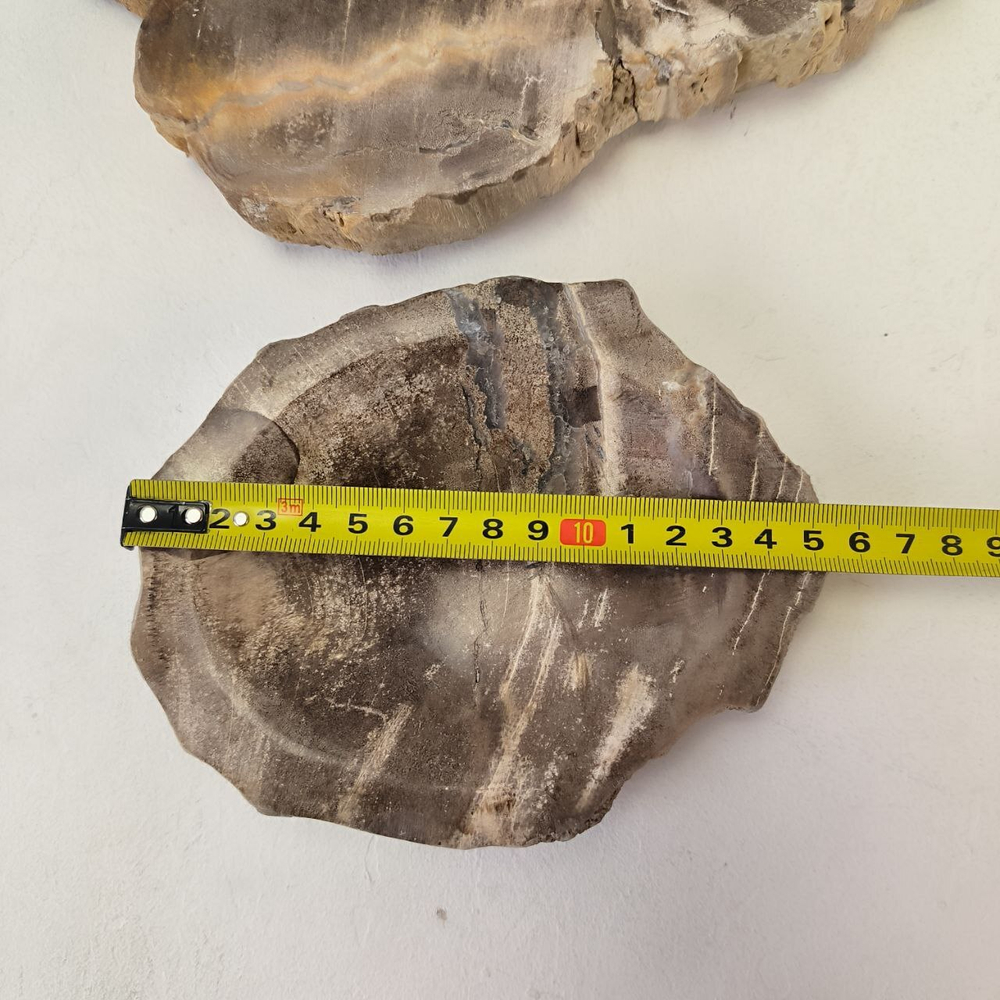 Набор из окаменелого дерева 4 предм Fossil Set NF-63287 поднос 149