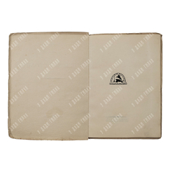 Гумилёв Н. Огненный столп, 1922.