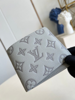 Louis Vuitton Multiple Wallet