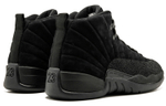 Кроссовки Jordan Air Jordan 12 Retro Ovo Black 2017