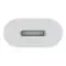 Apple USB-C to Lightning Adapter