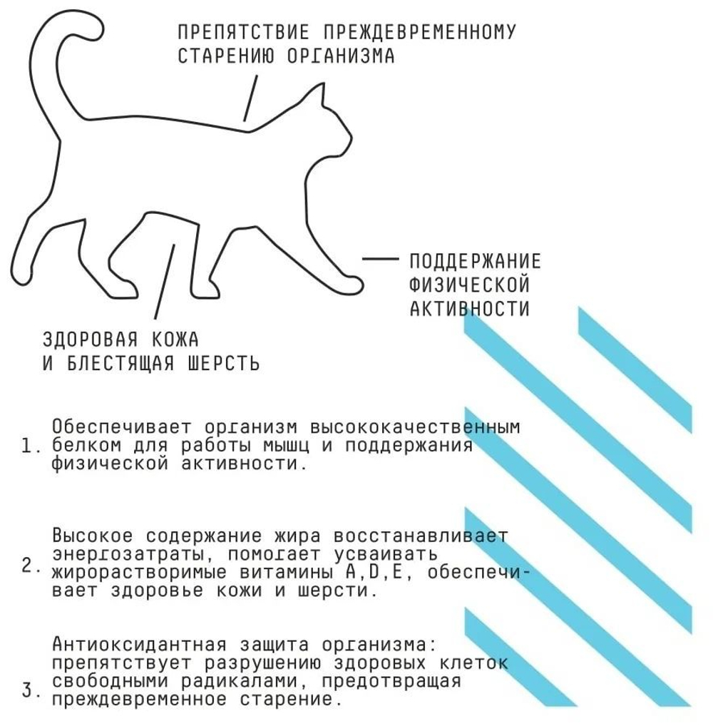 AJO Cat Аctive Сухой полнорационный корм для взрослых кошек, 1,5 кг