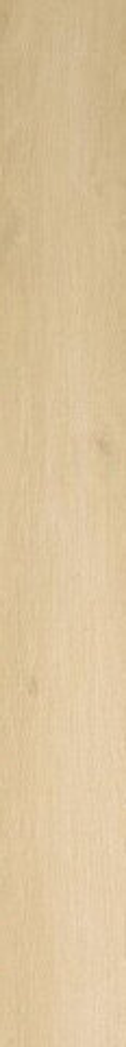 Atlas Concorde Nid Light 18.5x150