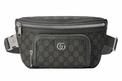 Поясная сумка Gucci Ophidia