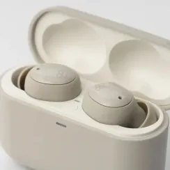 Final Audio ZE500 for ASMR Dark Cream