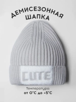 Шапка детская на осень бини