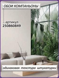 3D Фотообои окно в туманный тропический лес
