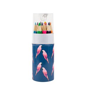 Набор цветных карандашей (12 шт.) Parrot