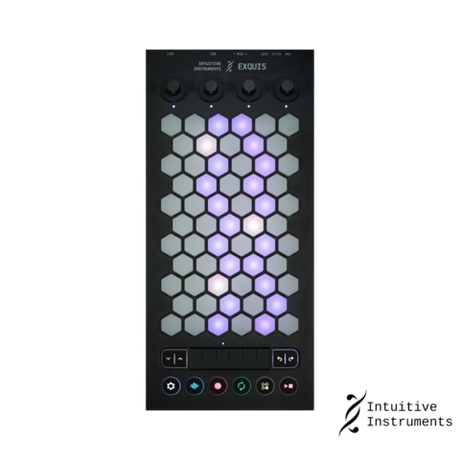 Intuitive Instruments Exquis