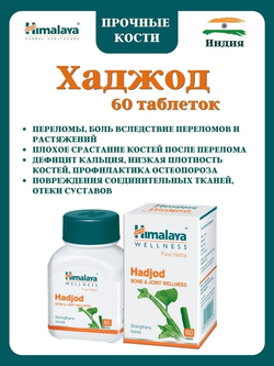 Хаджод Гималаи / Hadjod Himalaya