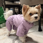 Зимний комбинезон для собак (девочка)