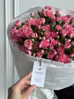 Моно букет из кустовых диантусов в розовом оттенке 35 шт