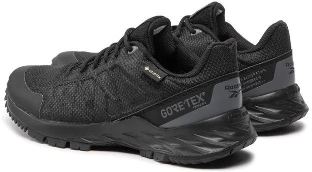 Кроссовки Reebok ASTRORIDE TRAIL GTX BLACK/PUGRY4/WILDLI черно-серый
