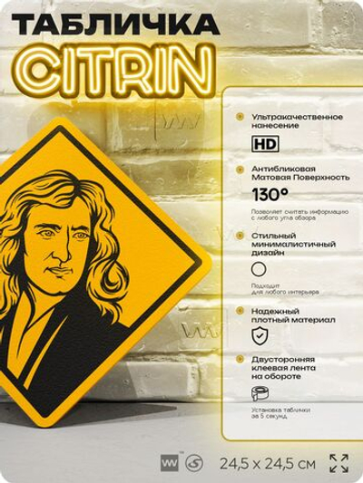 Табличка декоративная "Исаак Ньютон" на дверь и стену, прикольная штука в подарок, декоративный знак, 24,5х24,5 см, пластиковая, Айдентика Технолоджи