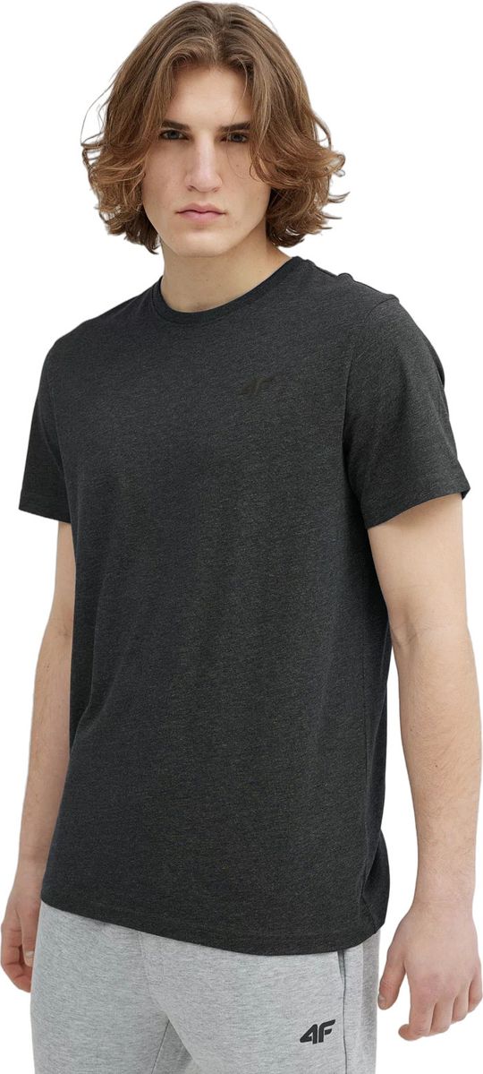 Футболка 4F Mens T-Shirt M536