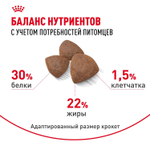 Royal Canin Medium Starter Корм для щенков средних размеров беременных и кормящих собак 12 кг