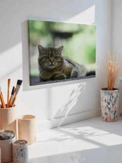 Картина на стену 40 X 50 Кот