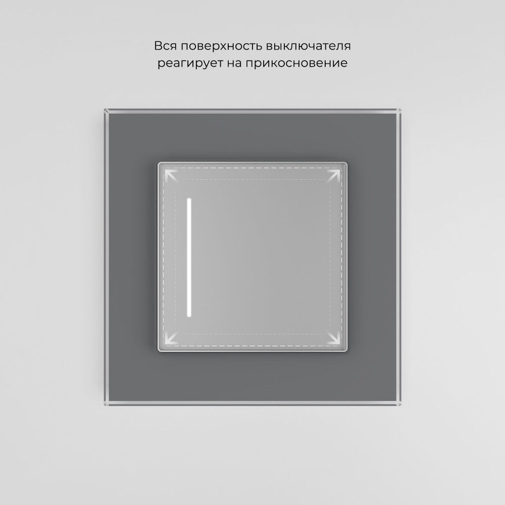 Умный сенсорный выключатель одноклавишный серебряный W4513006