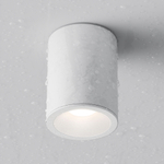 Потолочный светильник Technical C029CL-01W