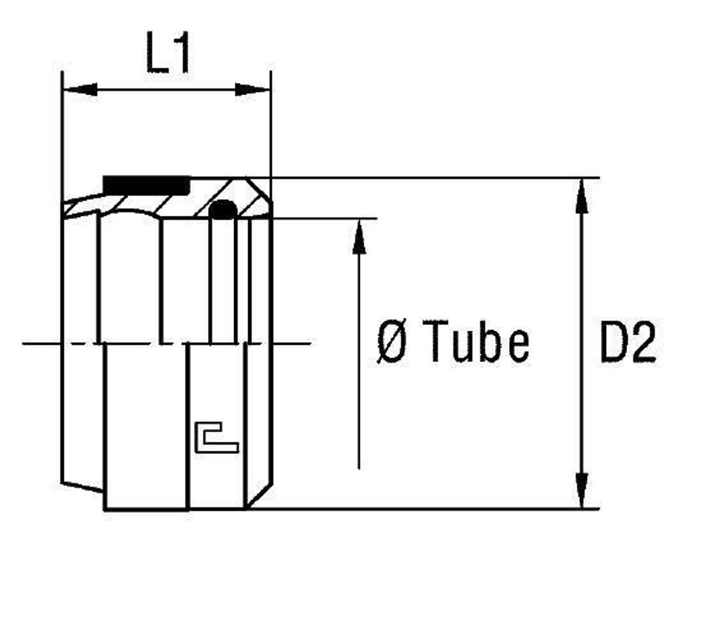 Кольцо R DS12 B4