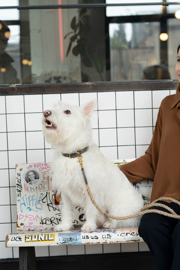 Поводок "Кантри-пони" Графит (льняной канат)