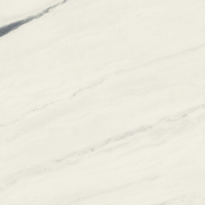 Керамогранит FORTE DEI MARMI Panda White Rett (600010002406)