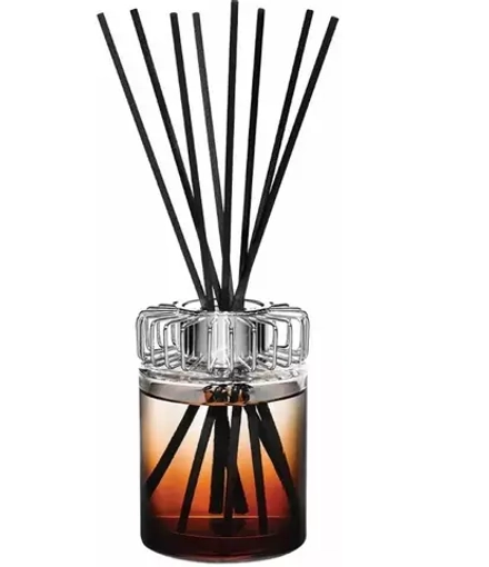 Maison Berger Paris - Набор палочек Land Amber / артикул   6598  / GTIN 3127290065988