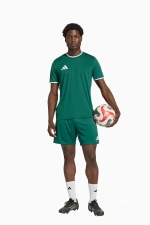 Шорты adidas Entrada 26 - зеленый