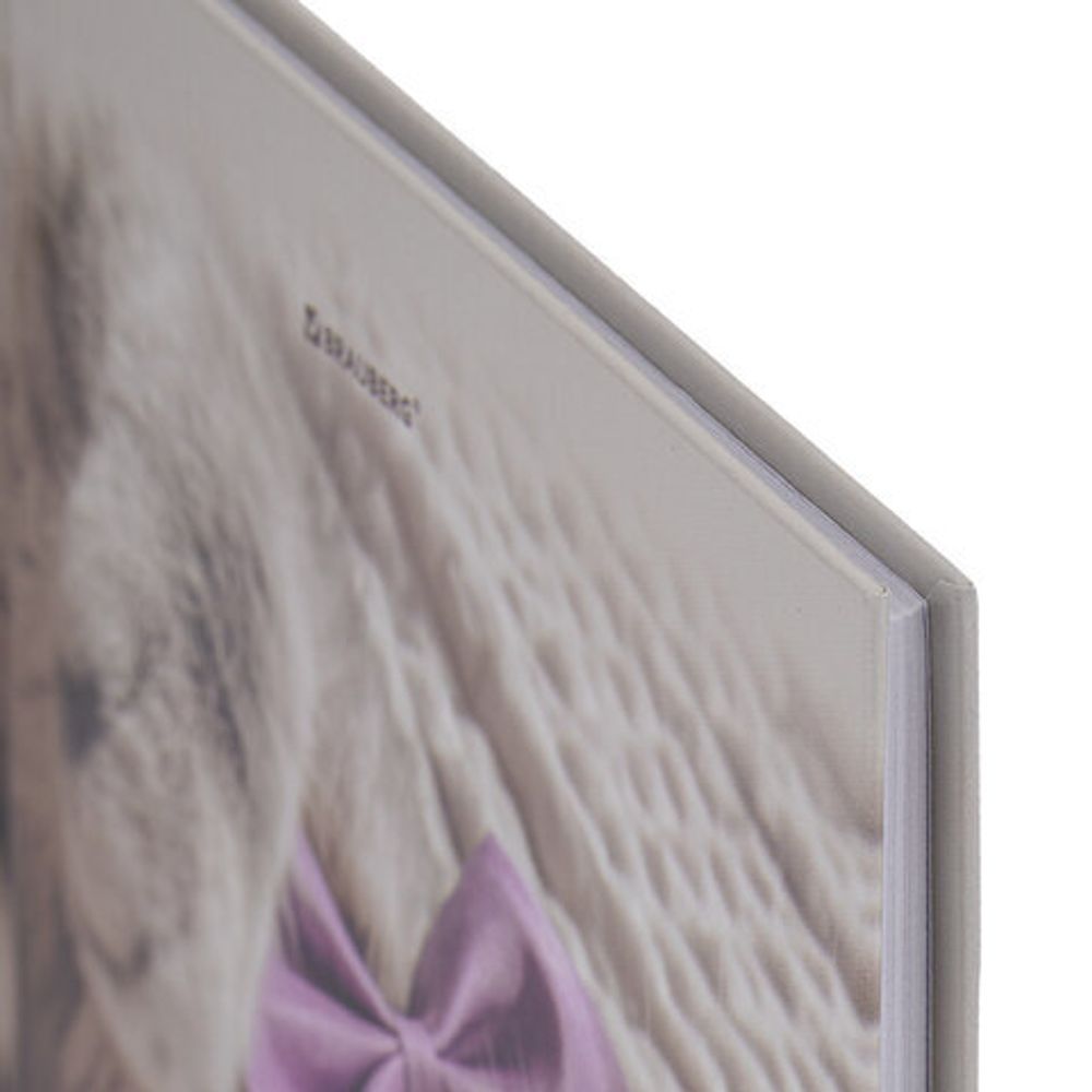 Дневник 5-11 класс 48 л., твердый, BRAUBERG, глянцевая ламинация, с подсказом, "Котик", 107188