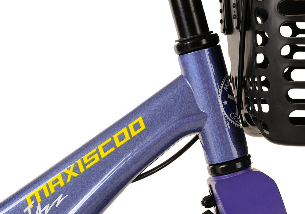 Maxiscoo JAZZ Pro 14'' (2024)