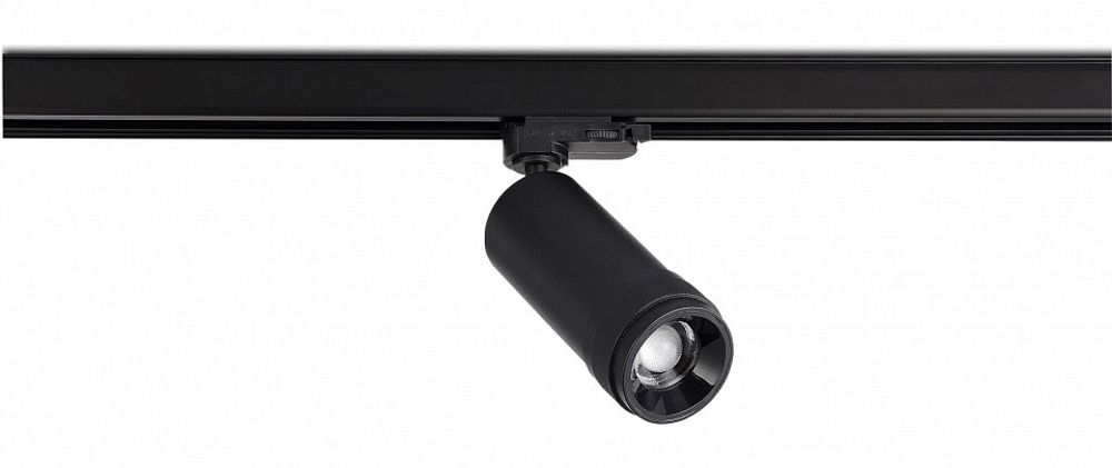 Светильник на штанге ST-Luce  ST691.436.20