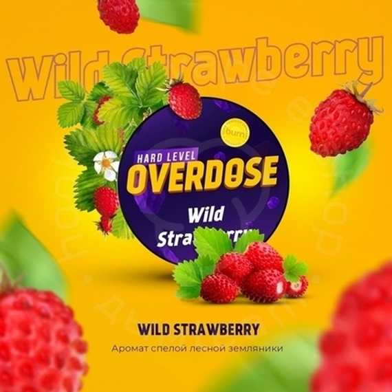 Табак для кальяна Overdose Wild Srawberry (Дикая земляника), 25 гр.