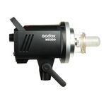 Godox MS300