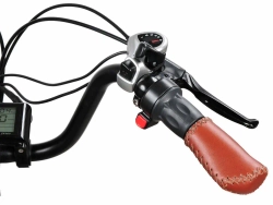Электрофэтбайк Cayman 750W